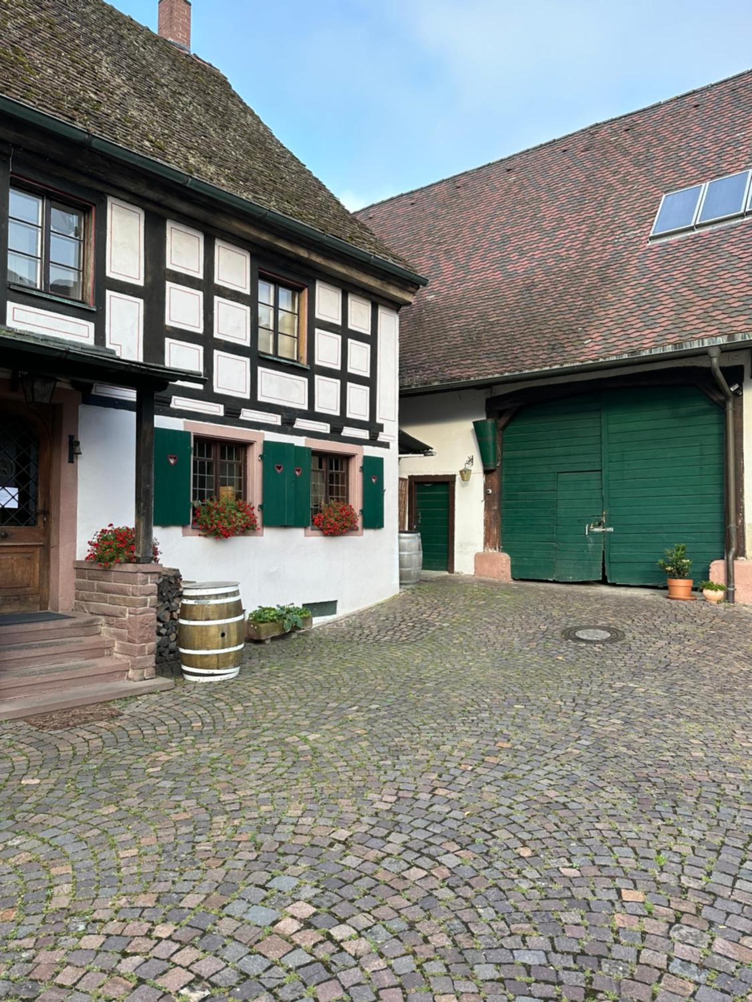 Exklusive Maisonette-Wohnung Am Rande Von Freiburg Merzhausen Esterno foto