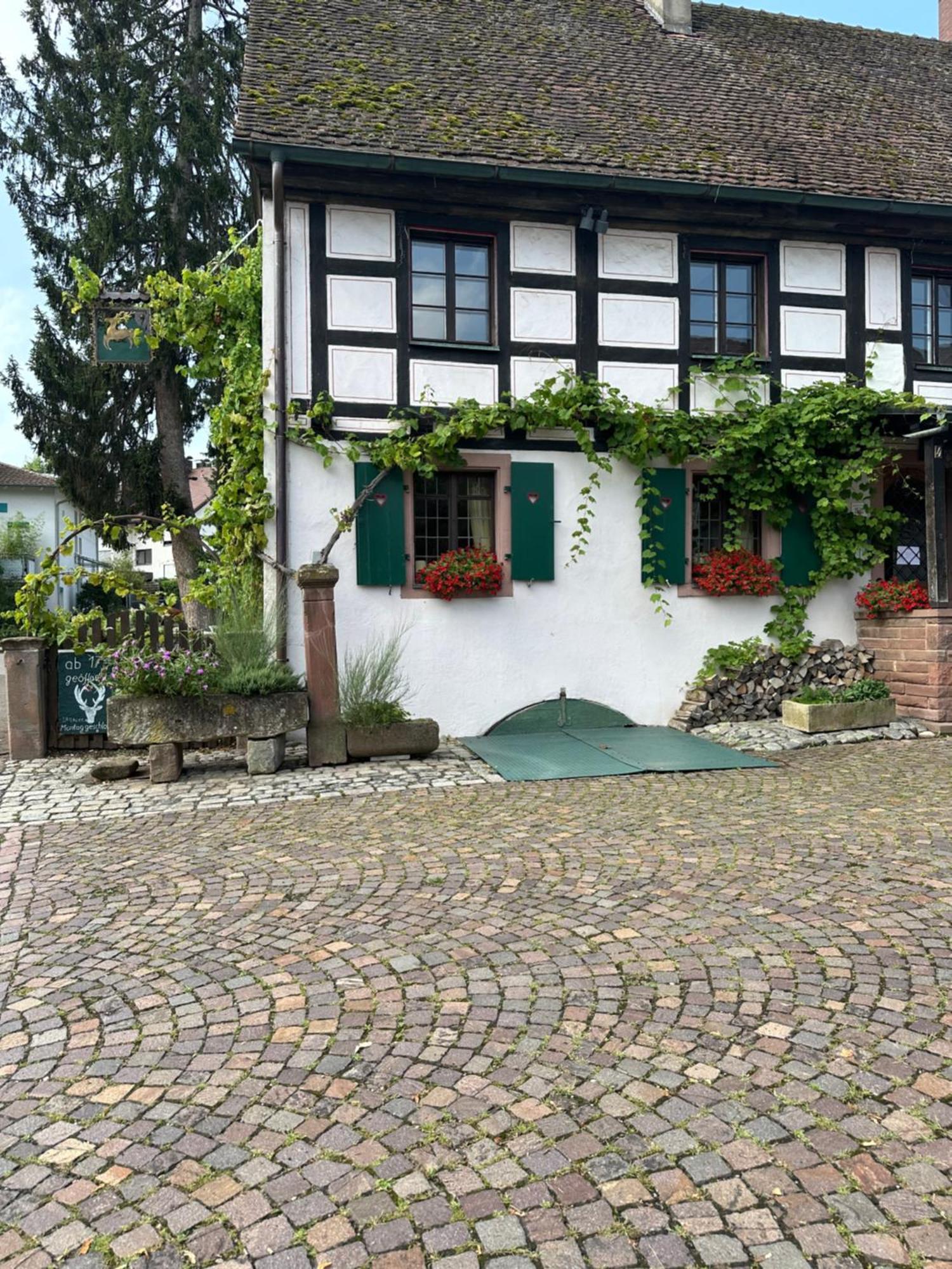 Exklusive Maisonette-Wohnung Am Rande Von Freiburg Merzhausen Esterno foto